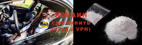 ешки Пересвет