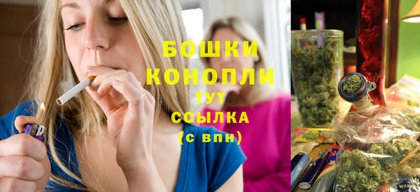 ешки Пересвет
