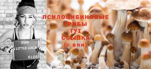 бутират Осинники