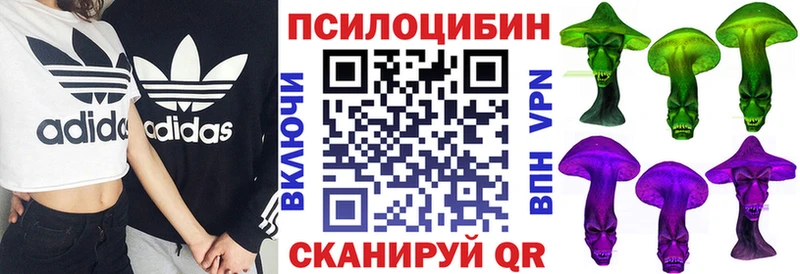 Псилоцибиновые грибы GOLDEN TEACHER  Покров 