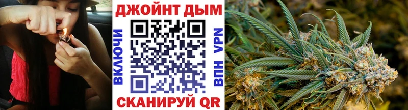 маркетплейс телеграм  Покров  Марихуана сатива 